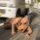 Illustration for article titled An 87-year-old Japanese grandmother is taking the best selfies in the world
